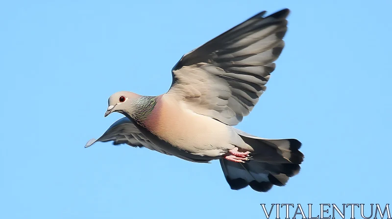 Bird Flying in Clear Blue Sky AI Image