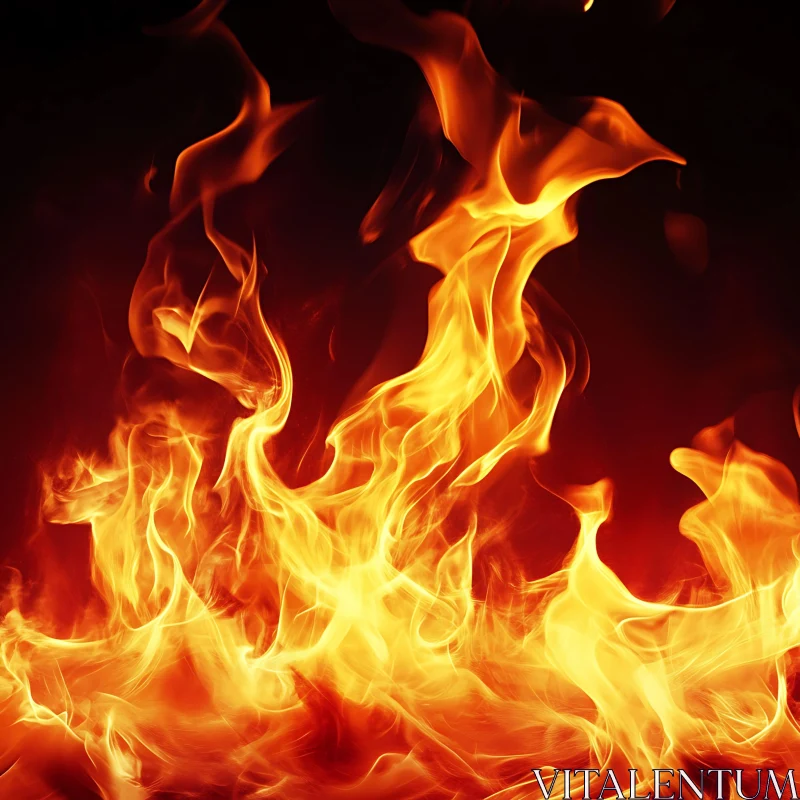 Captivating Fire with Swirling Flames