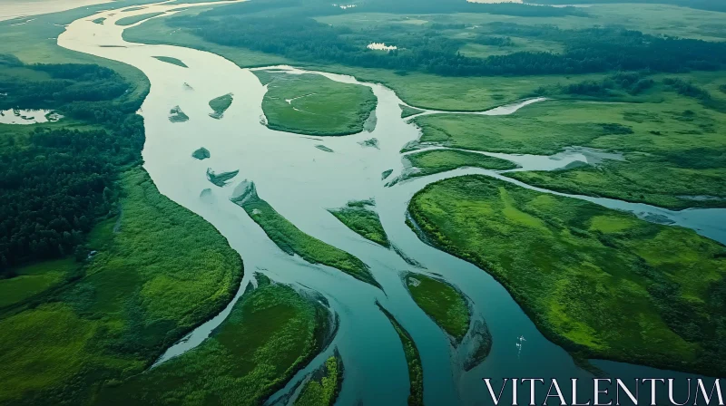Scenic Aerial Landscape of Intertwining Rivers