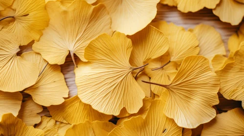 Ginkgo Leaves in Sunlight: A Blend of Nature and Craftsmanship