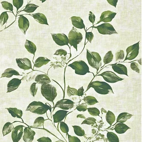 Artistic Branch with Green Leaves Illustration