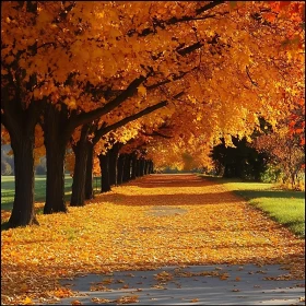 Autumnal Tree-Lined Path