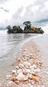 Idyllic Island with Autumn Foliage and Seashell Beach