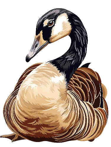 Resting Canadian Goose Illustration - Nature-Themed Art POD Design