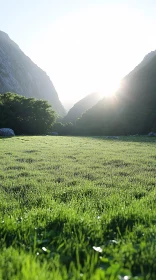 Morning Glow in Mountain Valley