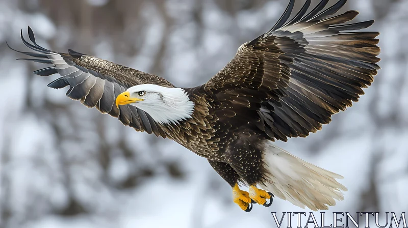 Bald Eagle Soaring Over Snowy Terrain AI Image