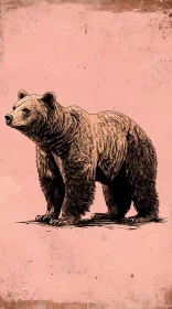 Majestic Bear Illustration