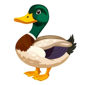Colorful Duck Cartoon Image