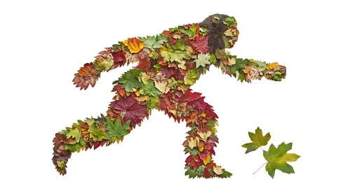 The Leafy Legend: Bigfoot in Fall Foliage