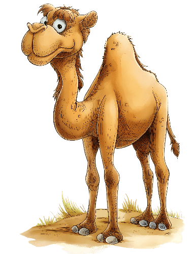 POD Design Friendly Cartoon Camel Illustration on Transparent Background