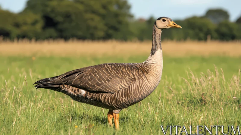 Serene Scene of a Goose in Nature AI Image