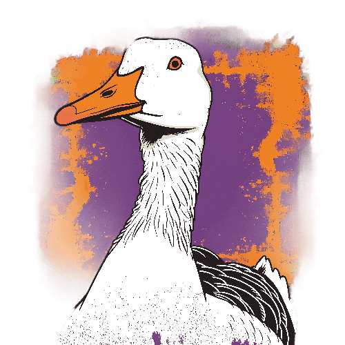 Cartoon Goose T-Shirt Design with Retro Abstract Background POD Design