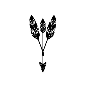 Monochrome Feathered Arrow Design