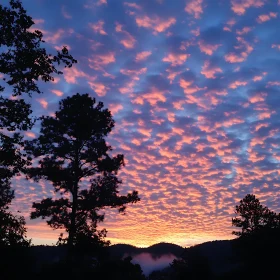 Evening Sky with Clouds and Trees