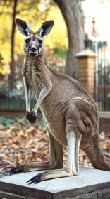 Kangaroo Amidst Nature