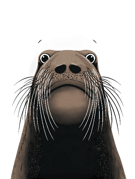 Curious Walrus Graphic Art for Apparel POD Design