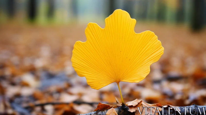 Autumn Brilliance: Yellow Leaf in Norwegian Forest AI Image