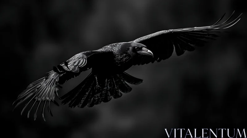 Black Raven Soaring Through the Night AI Image