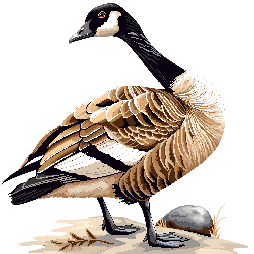 Elegant Goose Vector Design for Nature Enthusiasts POD Design