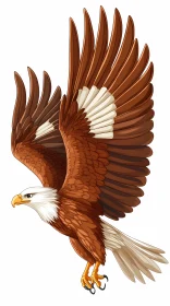 Eagle Soaring Illustration
