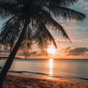 Sunset Serenity Under the Palm Tree