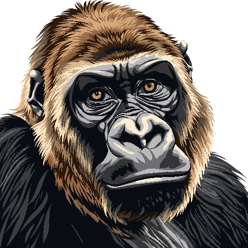 POD Design Intense Gorilla Face Illustration for Unique Apparel