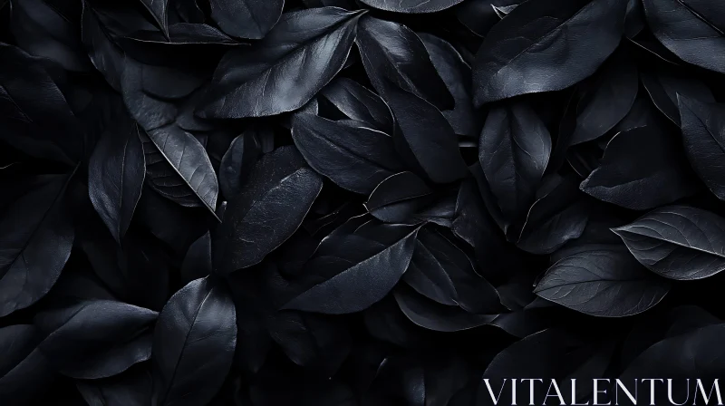 Dark Leaves Nature Close-Up