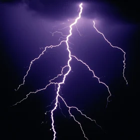 Electric Discharge During Night Storm