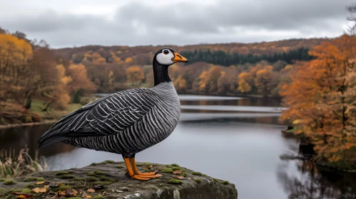 Poised Bird Amidst Fall Colors