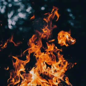 Fiery Embers and Crackling Flames