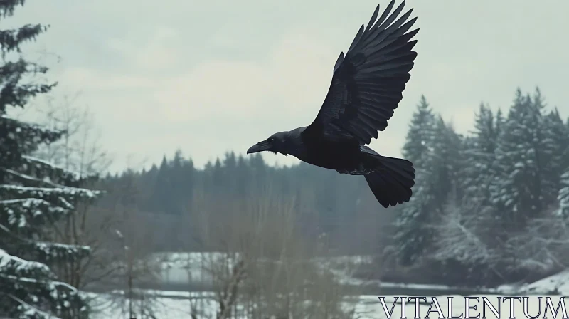 Black Raven in Winter Flight AI Image