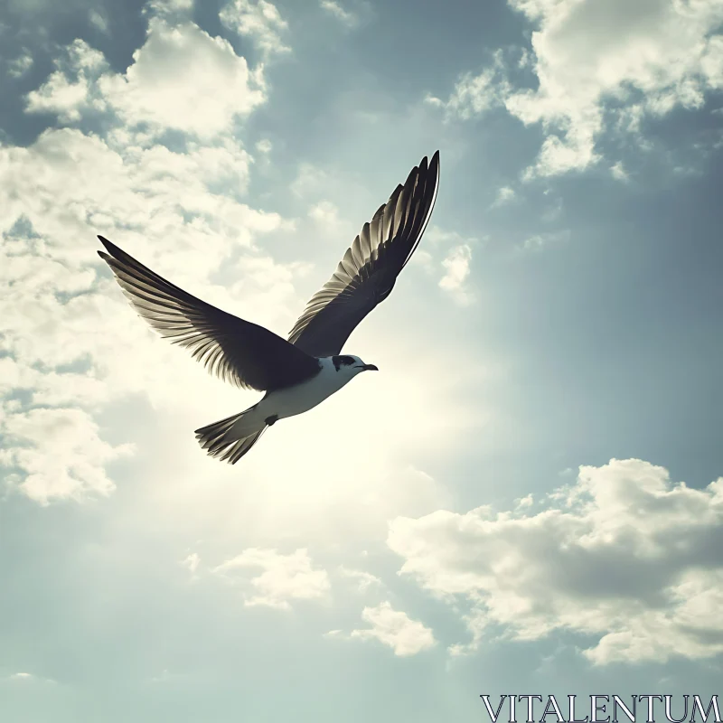 Seagull Flying Through Cloudy Sky AI Image