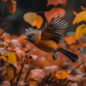 Autumnal Flight of a Small Bird