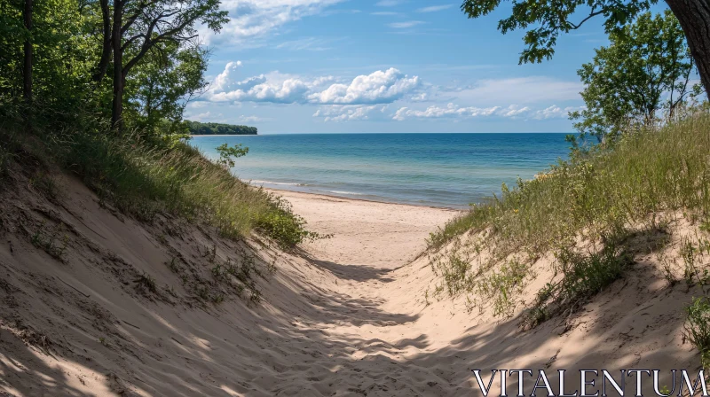 AI ART Pathway Through Dunes to a Tranquil Beach Landscape