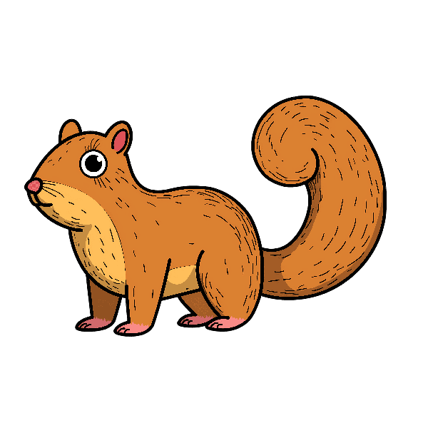 POD Design Adorable Squirrel Illustration for Apparel