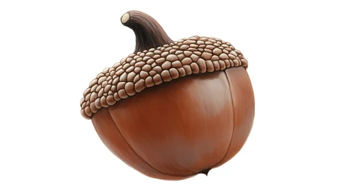 Artistic Depiction of an Acorn