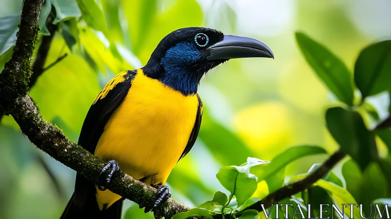 Tropical Bird Perched on Branch AI Image