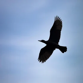 Bird in Flight: A Skyward Journey