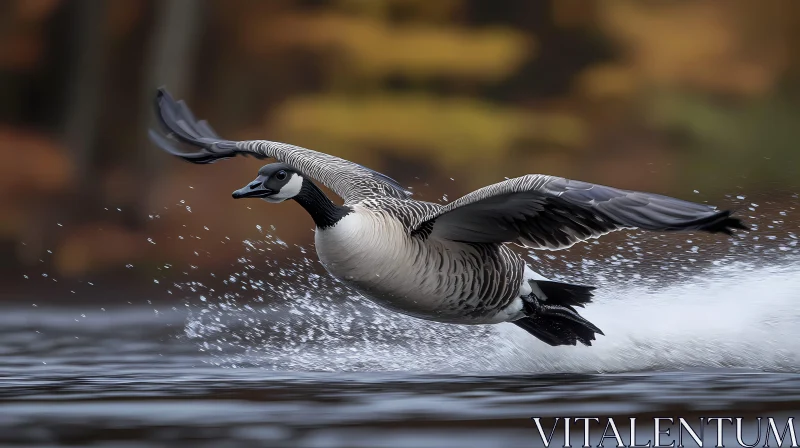 Graceful Goose Flight AI Image