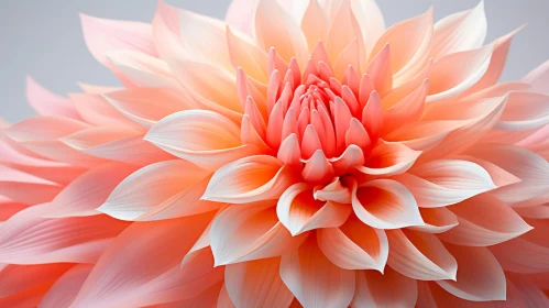 Artistic Render of a Delicate Orange and White Flower