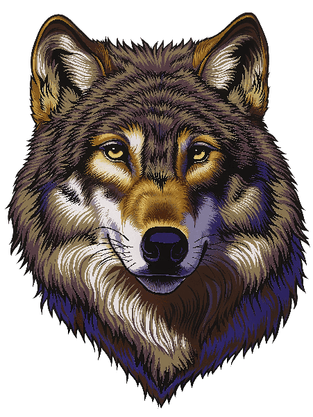 Realistic Wolf Face Apparel Art