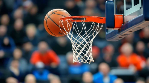 Basketball Goal Close Up