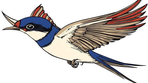 Flying Swallow Bird Illustration