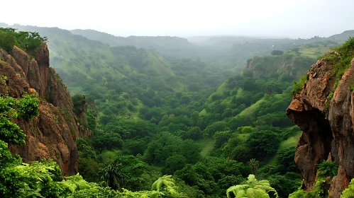 Lush Green Valley Surrounded by Rocks