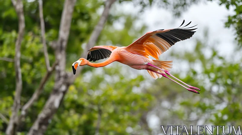 Pink Flamingo Flying Through Green Trees AI Image