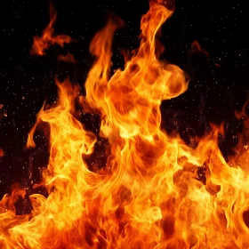 Vibrant Fire in the Dark
