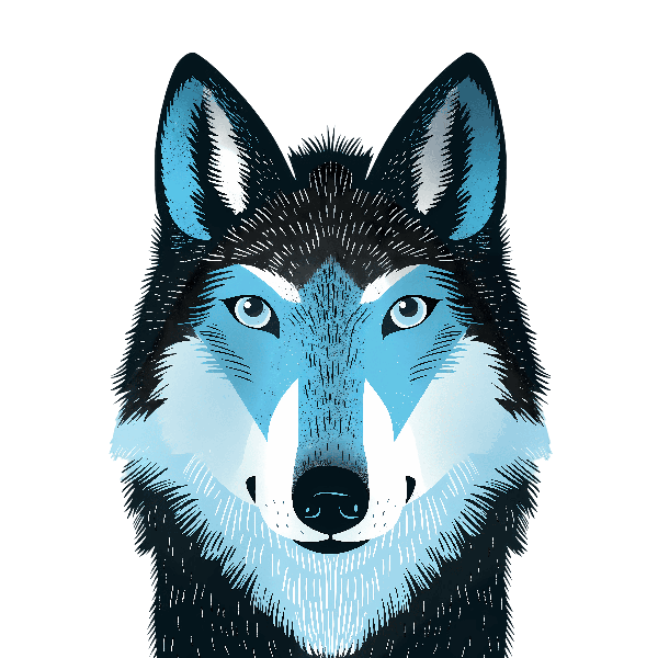 Blue Wolf Art for Apparel POD Design