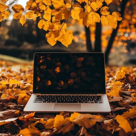 Work from Nature: Laptop in Autumn Environment