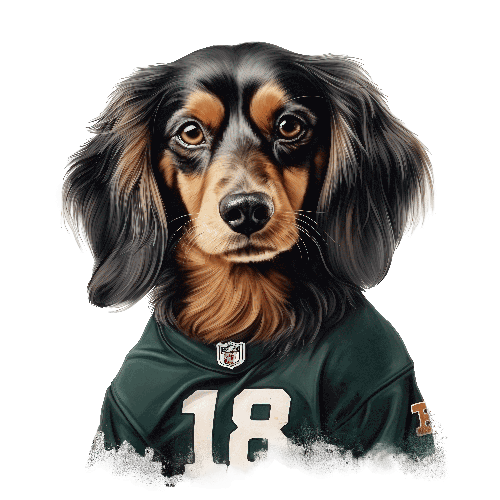 Long-Haired Dachshund in Football Jersey - Animal Portrait POD Design