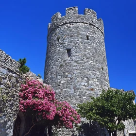 Historic Tower and Floral Beauty